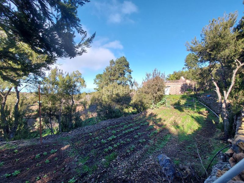 Foto c69ee777-3123-4a0b-93ef-c660e2279bba. Casa con riscaldamento in Tanque (El)