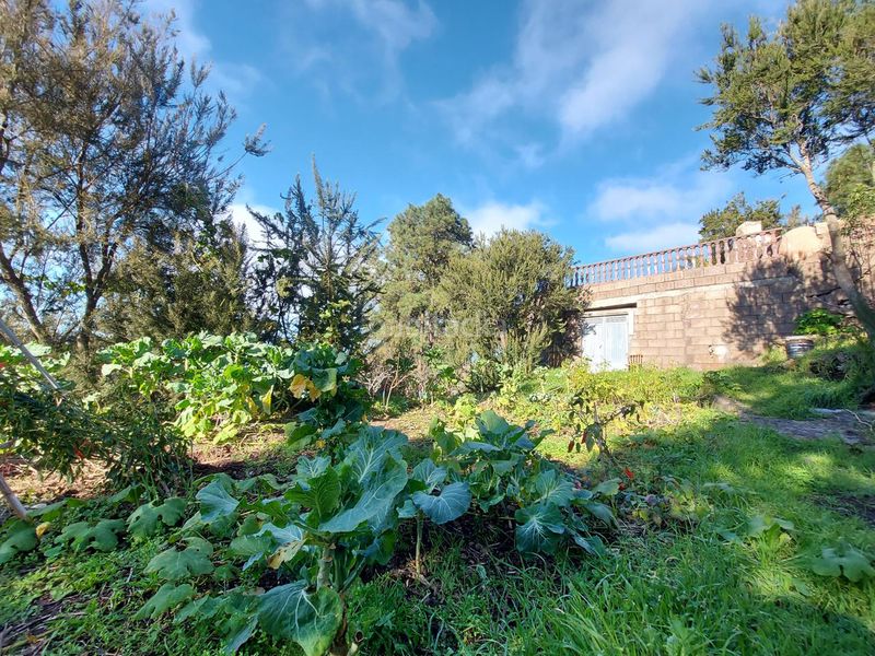 Foto fa7c423e-8bc8-4e1d-a8a6-a48c6d3d7465. Casa con riscaldamento in Tanque (El)