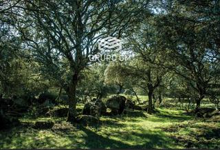 Finca rústica  Las mojaneras de los ollones. En navas del rey