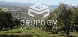 Finca rústica  Ctra de badajoz-almendralejo km 39,2. En badajoz