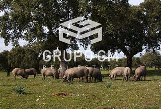 Rural plot in Valencia de Alcántara. En san vicente de alcantara