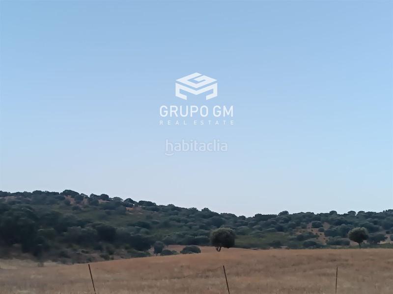 Foto 78b8986e-a7d2-480f-8391-5a8d569b2910. Finca rústica en alia en Alía