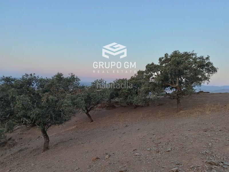 Foto 81301666-d8a8-47fc-b603-672771430bd6. Finca rústica en alia en Alía