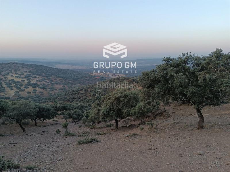 Foto c8aaafcb-e453-4489-8d1a-d3ea4de92b99. Finca rústica en alia en Alía