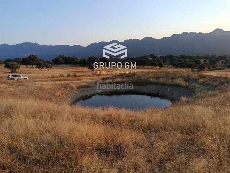 Foto d74eb9e1-c9c9-4226-9316-4211922d0a72. Finca rústica en alia en Alía