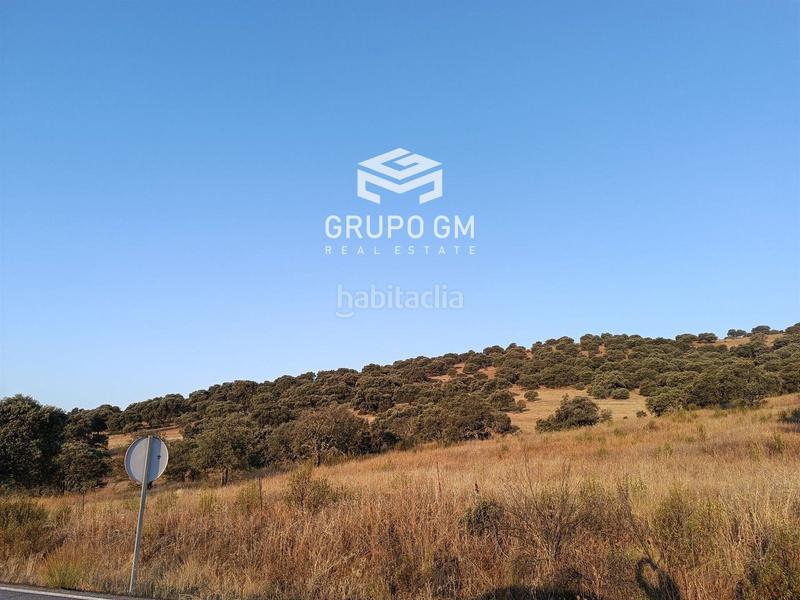 Foto db7ba18e-4883-4287-a83c-207e15768fcb. Finca rústica en alia en Alía