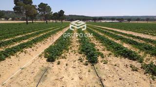 Finca rústica  N/a. Excepcional finca agrícola en zamora