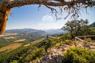 Finca rústica  N/a. Finca rustica con amplia vivienda cerca de alicante