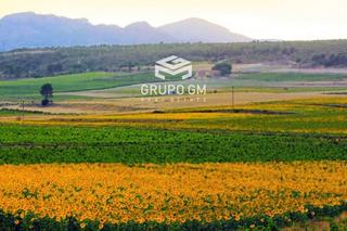 Finca rústica  N/a. Magnifica propiedad rural entre valencia y alicante