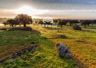 Finca rústica  N/a. Exclusiva finca de recreo, caza y ganadería en badajoz