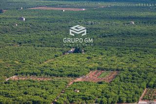 Finca rústica  N/a. Impresionante finca de cultivo y monte en la provincia de valenc
