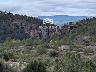 Finca rústica  N/a. Impresionante finca de caza y explotación agrícola con amplias i