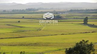 Propriété  N/a. Propiedad rural con cultivos en regadío en la comarca de badajoz