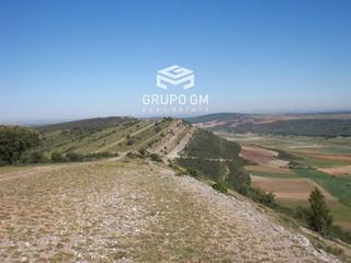 Finca rústica  N/a. Exclusiva finca con coto de caza, tierras de labor y lujosas edi