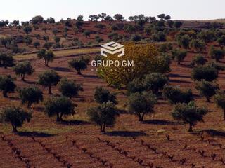 Rural plot  N/a. Finca exclusiva a 40 minutos de madrid