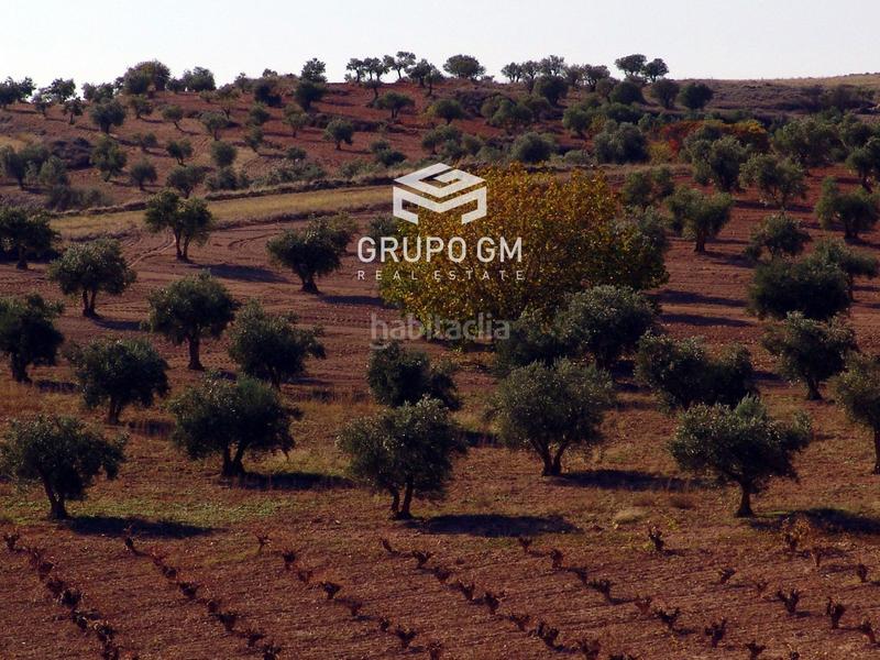 Foto 40a1c63b-cc47-43e7-b4ed-55fc7277e6b5. Propriété dans Brea de Tajo