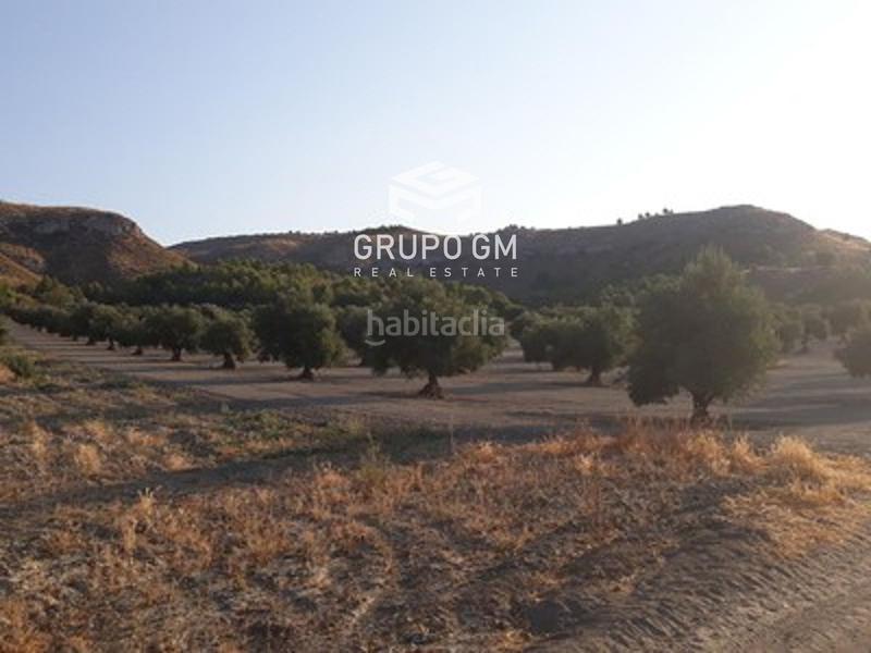 Foto 65aed7b9-7b86-416c-9b97-f0e0fd738688. Finca rústica a Mazuecos