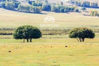 Finca rústica  N/a. Oportunidad de explotación ganadera y cinegética en badajoz