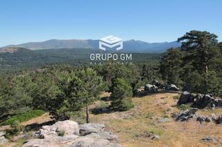 Finca rústica  N/a. Finca de caza privada en la sierra con casa restaurada y entorno