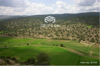 Finca rústica  N/a. Gran finca autosuficiente con vivienda, monte y alto potencial d