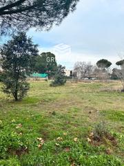 Finca rústica  Viñas 22. Magnífica parcela en fuente del fresno