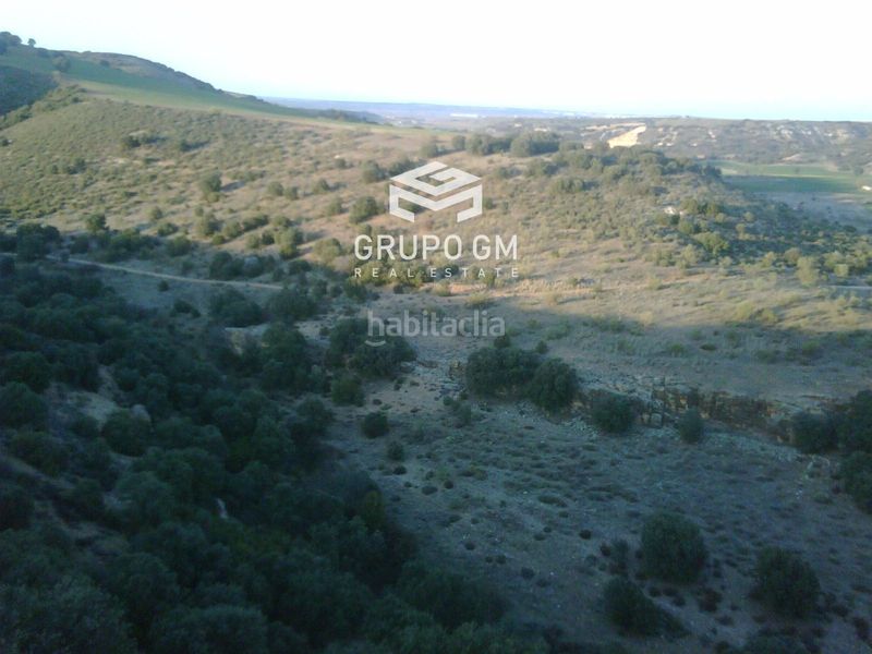 Foto 0ca06930-8eba-494f-8e40-13511172941a. Finca rústica a Puebla de Montalbán (La)