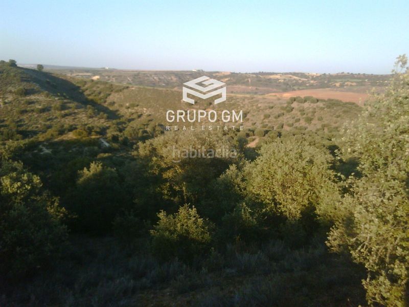 Foto 41c28c84-362d-441f-9ea4-6b551f3141ab. Finca rústica a Puebla de Montalbán (La)