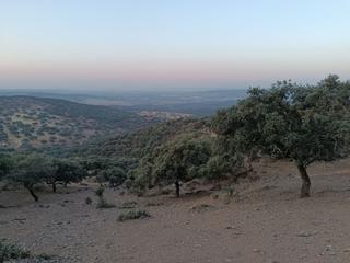 Terrain résidentiel à Alía. Finca rústica en alía cáceres muy bonita con muchas posibilidade