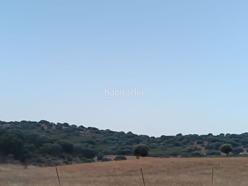 Foto 1ba93e1f-70cf-41d5-bb0a-a020cce7b190. Terreny residencial a Alía