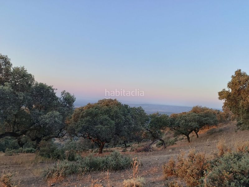 Foto 35112d68-9ef4-4c61-90b0-9f96f8c0b610. Terreny residencial a Alía