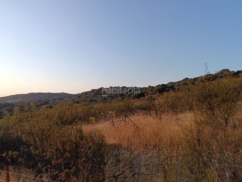 Foto 4fe9eefb-fc17-49f5-a7b3-ef7a046bf963. Terreny residencial a Alía