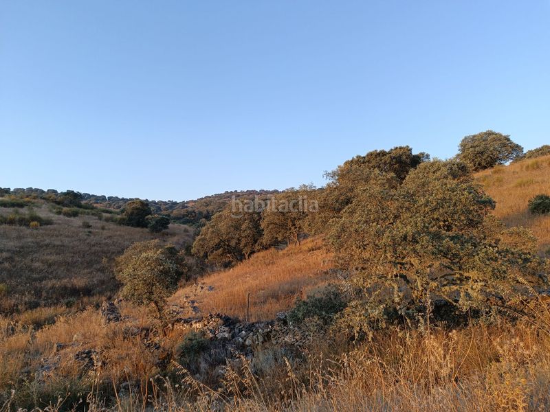 Foto 6d815a13-69c9-49a4-bfac-67fab48d7dd9. Terreny residencial a Alía