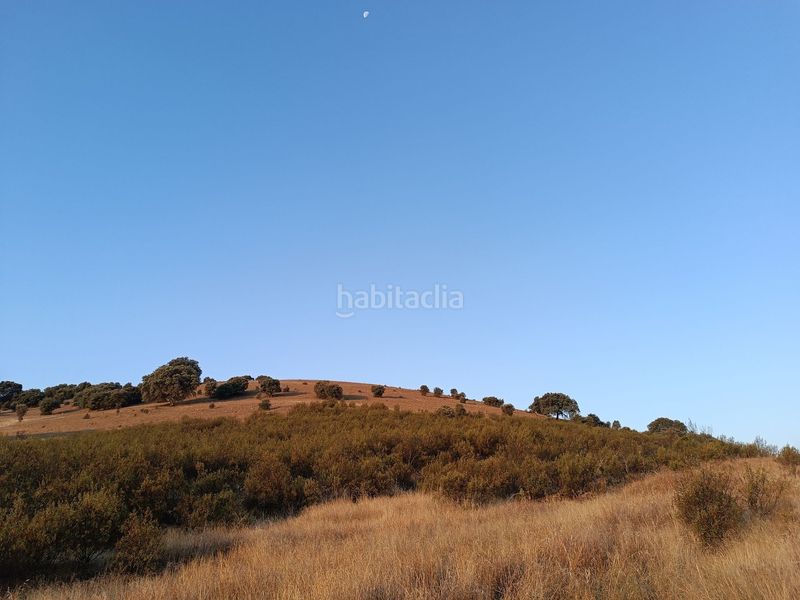 Foto 7ad395a1-fe92-43cd-8f55-f84314ec0d3c. Terreny residencial a Alía