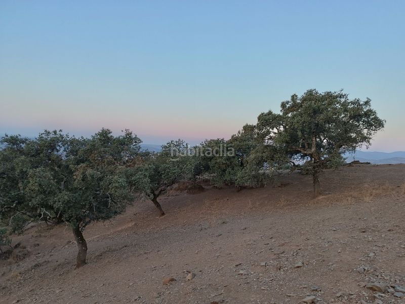 Foto b5416446-0713-471c-9d28-aa6ad44c7f97. Terreny residencial a Alía