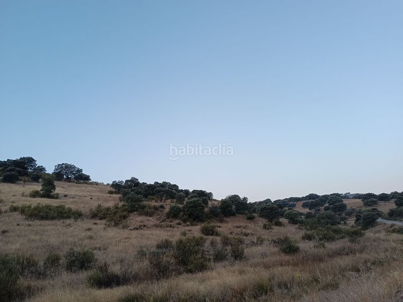 Foto c2b07053-1681-4962-a86f-d286bd0d241f. Terreny residencial a Alía