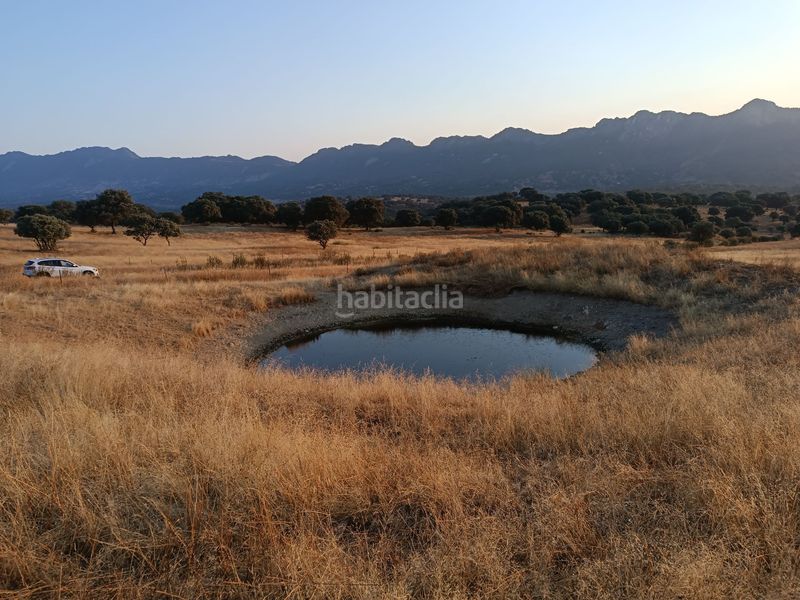 Foto d2ea5d69-b160-480c-a63d-43286c4c7da1. Terreny residencial a Alía