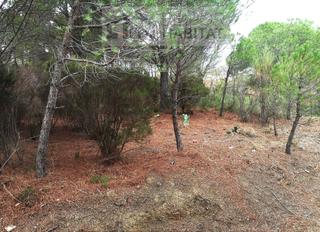 Terreny residencial  Carrer sant pere de roda. La vila