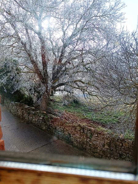 Foto a40a2e67-caec-424e-ad96-1cb6161a3aba. Casa fantástica oportunidad de adquirir una vivienda como inversión funciona como casa rural o para el disfrute propio. situada a diez en Aguilar de Campoo