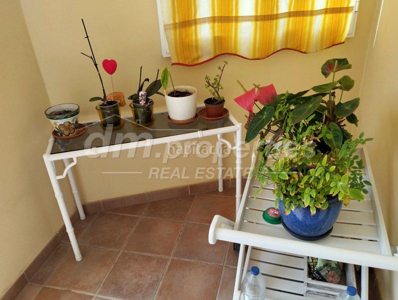 Foto 28e3521e-45ac-4b77-83fb-78ce874ee723. Piccolo appartamento con piscina in Los Cristianos Arona