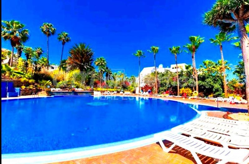 Foto 7616ca7b-c837-4952-8bf9-328197174c04. Apartment with parking pool in Playa de las Américas Arona