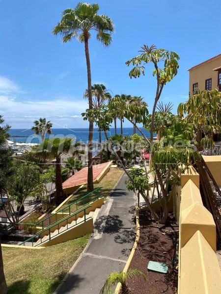 Foto 0fa58b81-ce7e-4776-b8a0-39d99b2c21bf. Apartamento  en venta en Playa de las Américas, 1 dormitorio. en Adeje