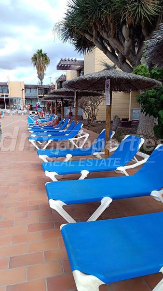 Foto 2d640b84-c9a5-4f48-bc5f-b35cdd50216f. Appartement dans Costa del Silencio Arona