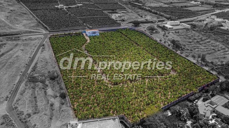 Foto ca69fd8d-4862-4317-b420-9051255a98ac. Mas dans Armeñime - Las Moraditas - Las Cancelas Adeje