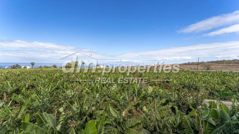 Foto ca9a83dc-fb64-4360-96ae-9060325c016c. Mas dans Armeñime - Las Moraditas - Las Cancelas Adeje