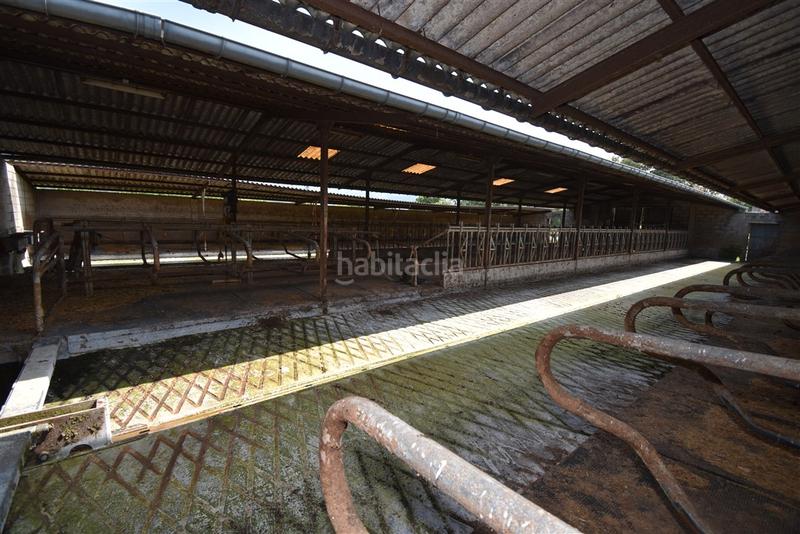 Foto 4d3eb416-52b3-43d7-aeea-1530c5cc34b4. Nau industrial a Solórzano