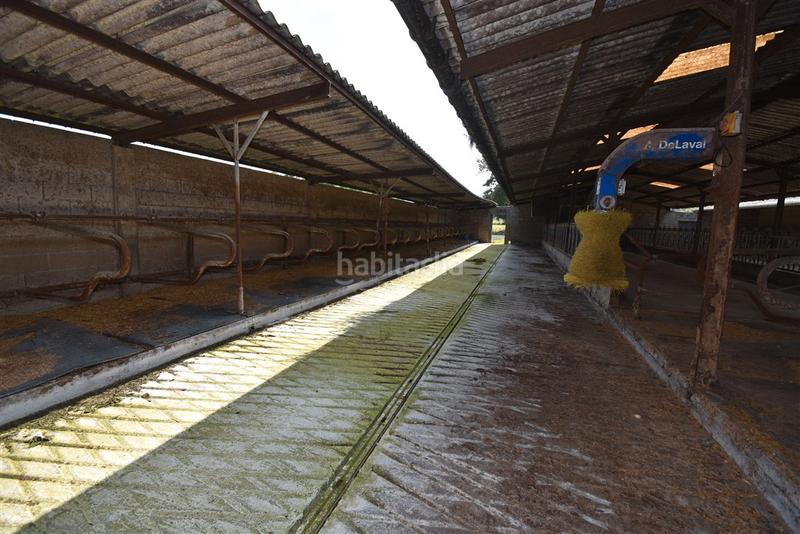 Foto 98f3738e-3523-470c-a036-6af3edce8197. Nau industrial a Solórzano