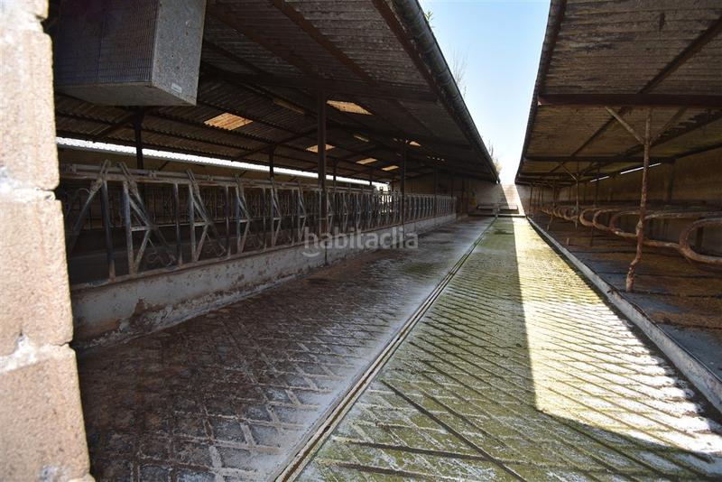 Foto d5512aa0-a8ae-4337-be53-eec8207e4829. Nau industrial a Solórzano