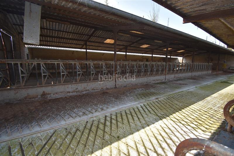 Foto e24efaf3-05d9-4946-a774-a178fc2a5278. Nau industrial a Solórzano