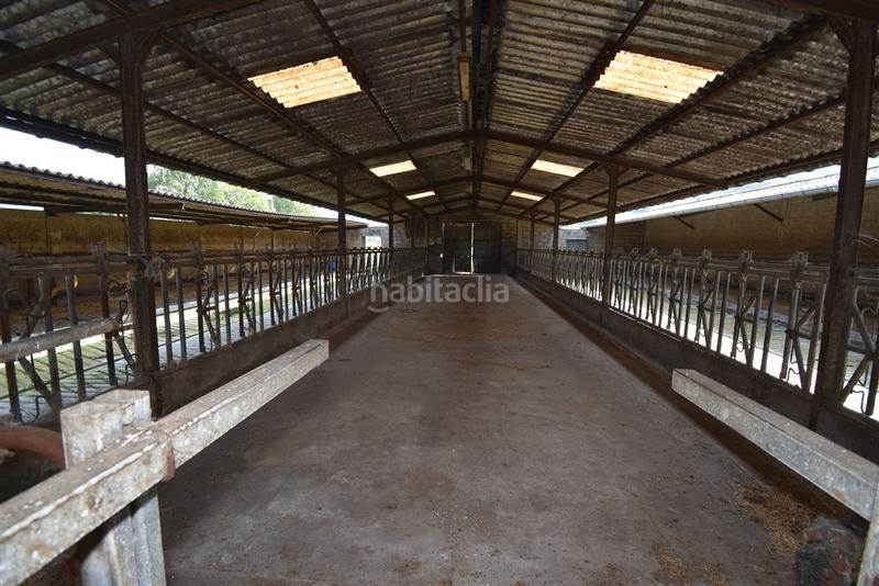 Foto f67adc0c-eb50-4b1f-b3a2-32355ed9702e. Nau industrial a Solórzano