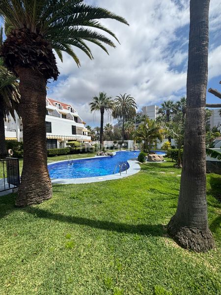 Foto a6ba443c-1054-4bf2-9ea7-30d5334a3f8a. Apartament amb piscina a Playa de las Américas Arona